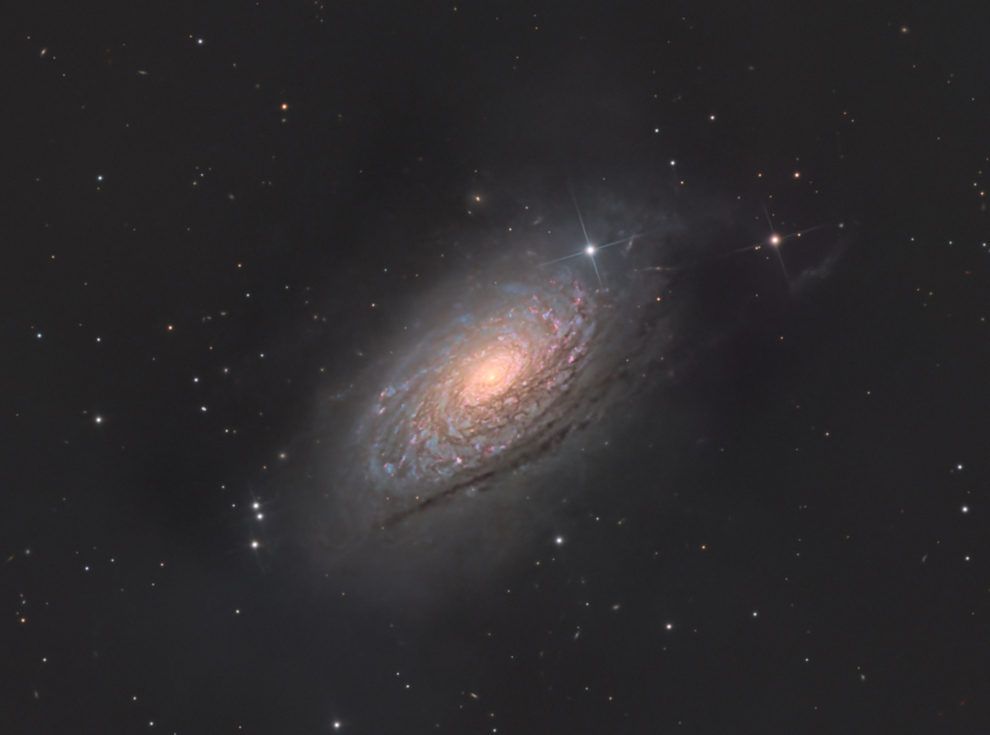 ghostnebula%20lowres